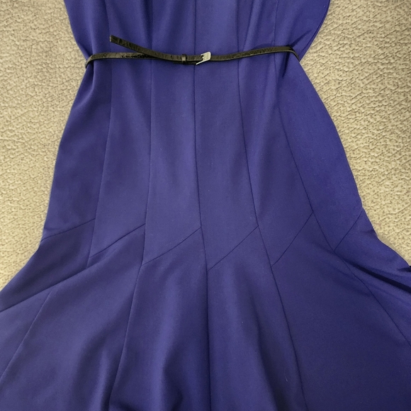 Calvin Klein Beautiful Blue Belted Sleeveless Pleated Dress - Picture 5 of 16